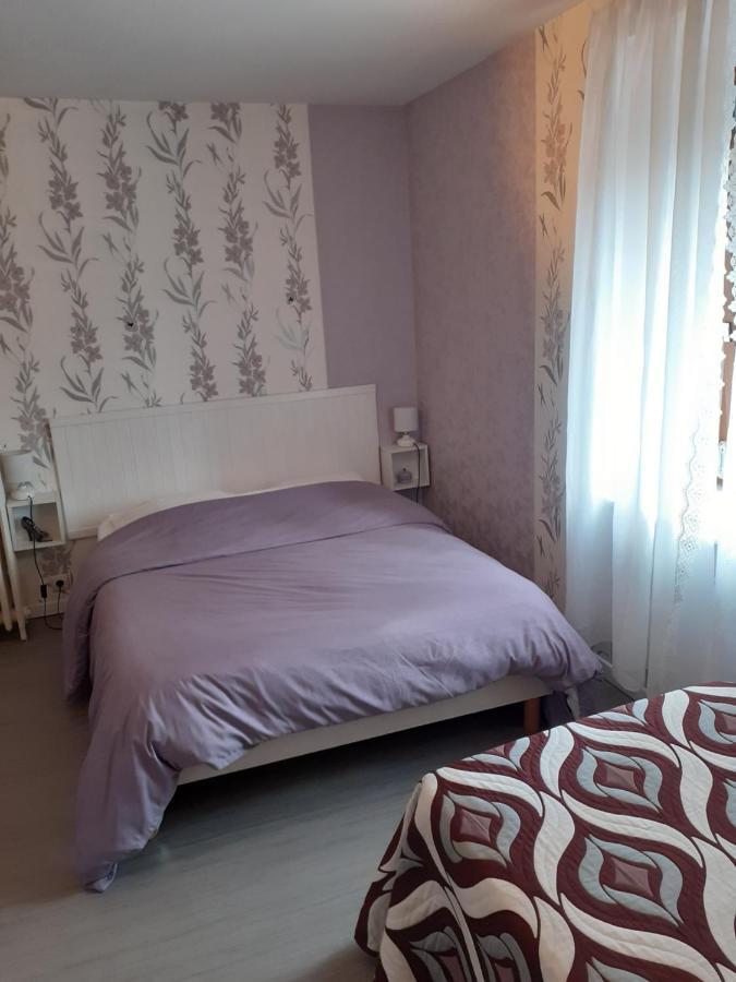 Bonsejour Aparthotel Saint-Maurice-sur-Moselle Ngoại thất bức ảnh